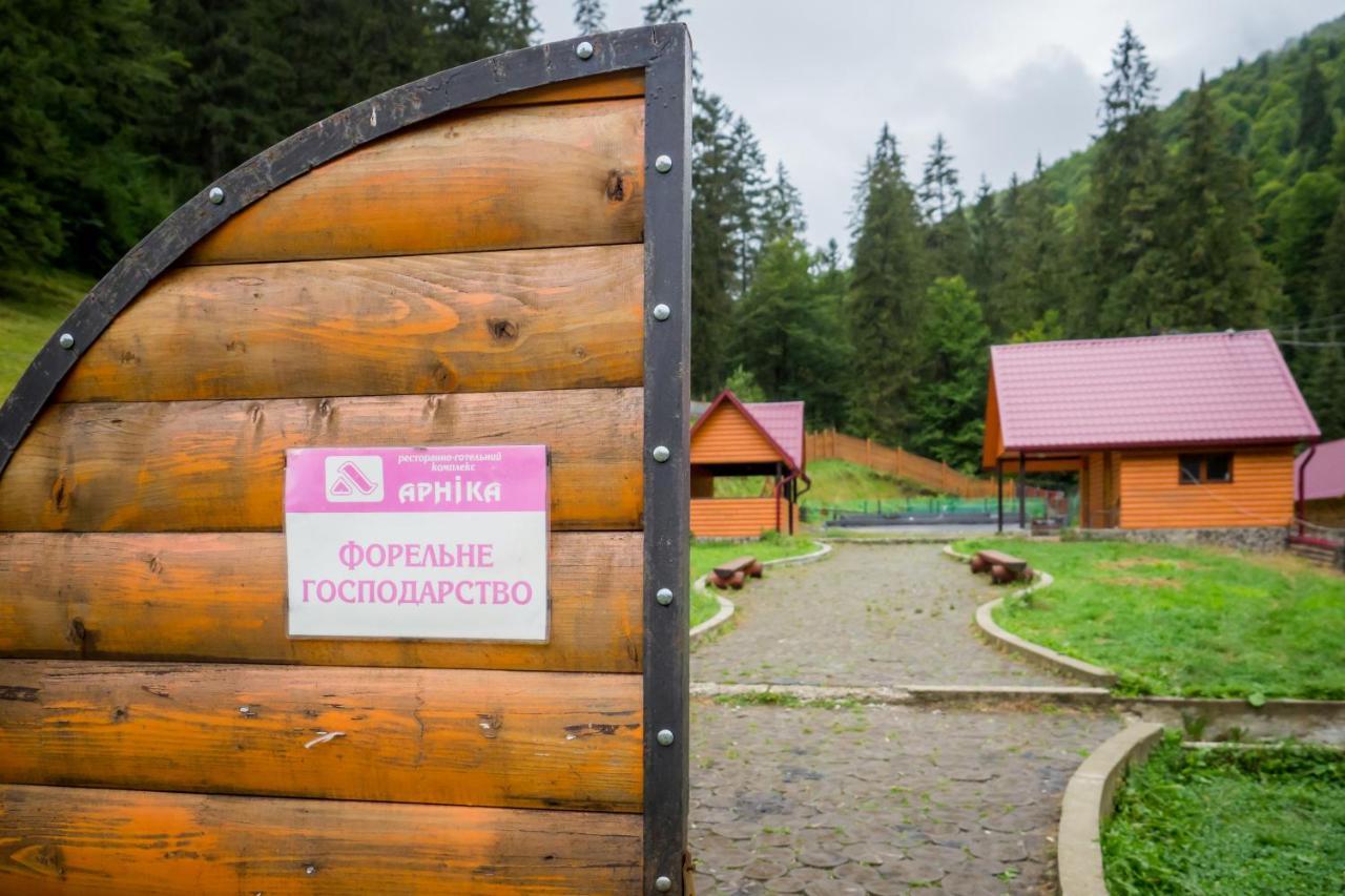 Арніка Hotel Synevyrsʼka Polyana Екстериор снимка
